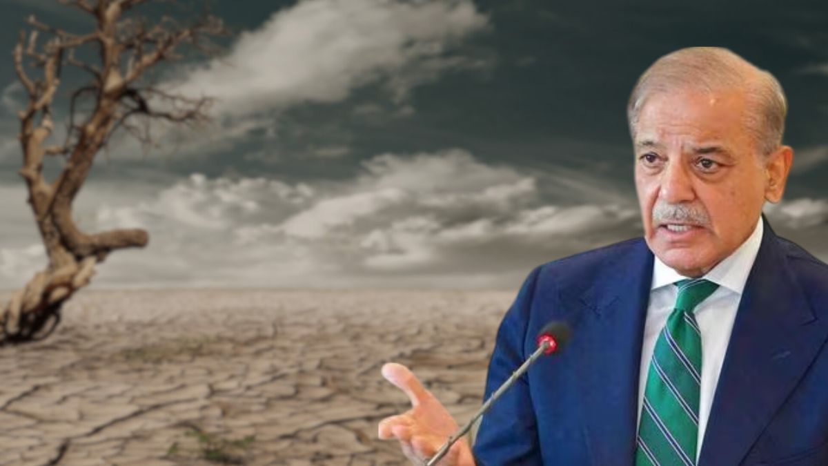 Pakistan Slashes Funding For Key Dams Even As India’s IWT Suspension Raises Water Stress